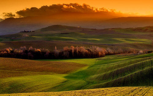 Toscana - Caccia - Venatoria - Territorio - Fauna